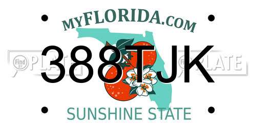 388TJK Florida License Plate