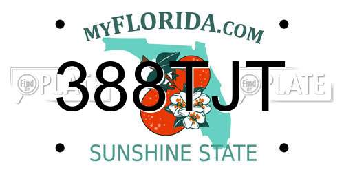 388TJT Florida License Plate