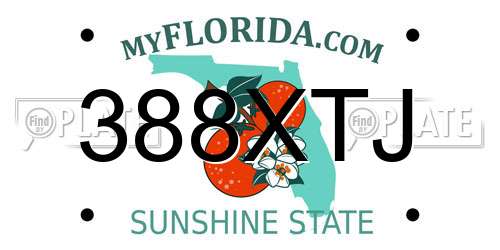 388XTJ Florida License Plate