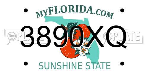 3890XQ Florida License Plate