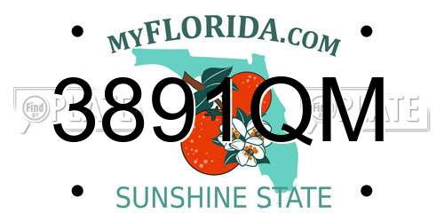 3891QM Florida License Plate