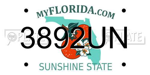 3892UN Florida License Plate