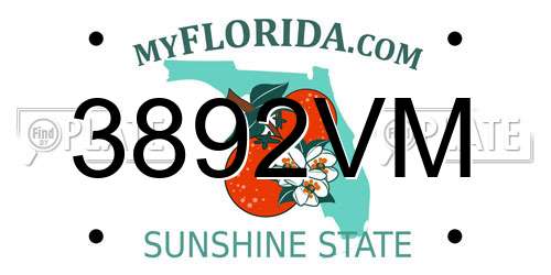 3892VM Florida License Plate