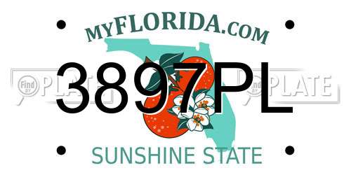 3897PL Florida License Plate