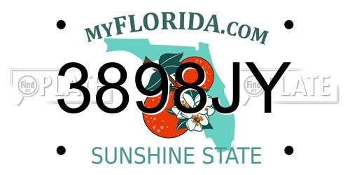 3898JY Florida License Plate