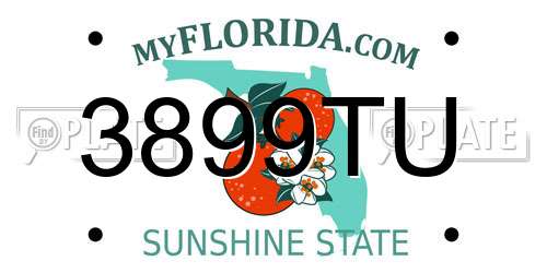 3899TU Florida License Plate