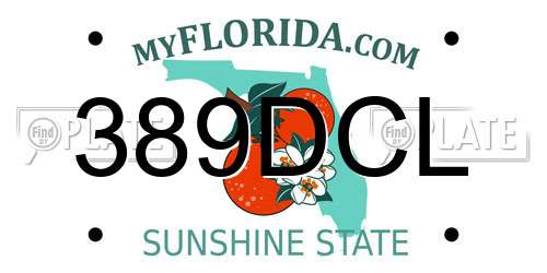 389DCL Florida License Plate