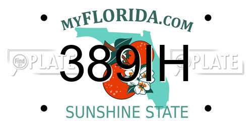389IH Florida License Plate