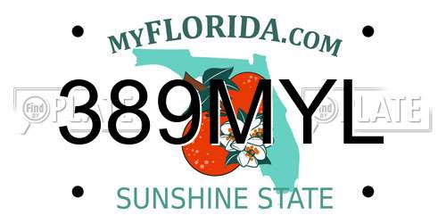 389MYL Florida License Plate