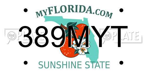 389MYT Florida License Plate