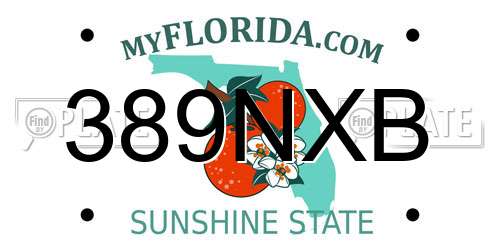 389NXB Florida License Plate