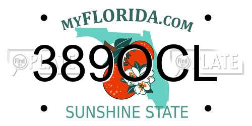 389OCL Florida License Plate