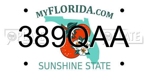 389QAA Florida License Plate