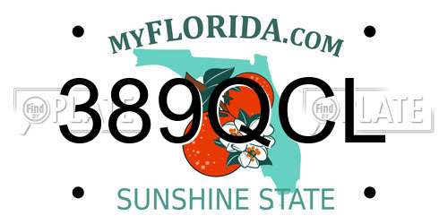 389QCL Florida License Plate