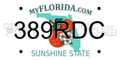 389RDC Florida License Plate