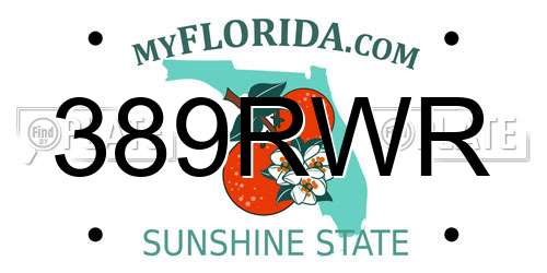 389RWR Florida License Plate