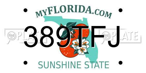 389TFJ Florida License Plate