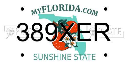 389XER Florida License Plate