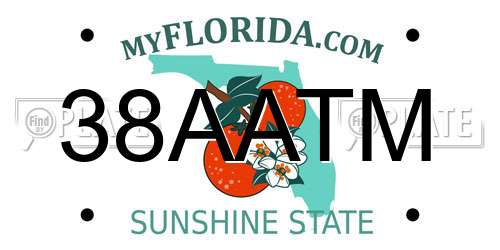 38AATM Florida License Plate