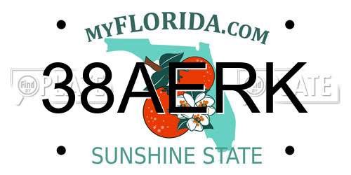 38AERK Florida License Plate