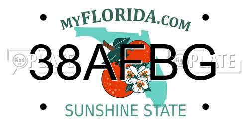 38AFBG Florida License Plate