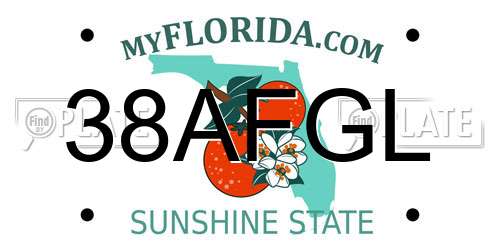 38AFGL Florida License Plate