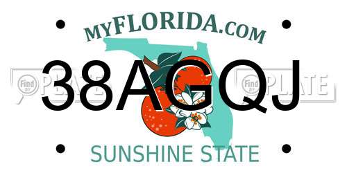 38AGQJ Florida License Plate
