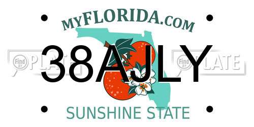38AJLY Florida License Plate