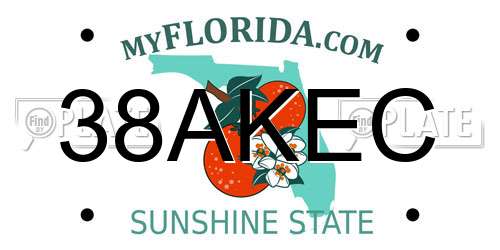 38AKEC Florida License Plate