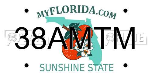 38AMTM Florida License Plate