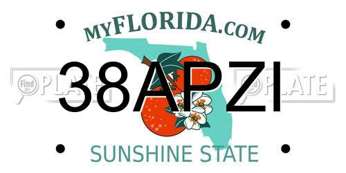 38APZI Florida License Plate