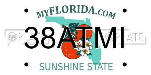 38ATMI Florida License Plate