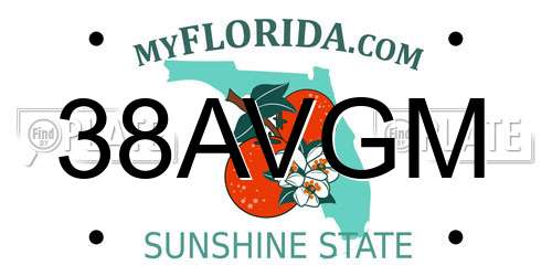 38AVGM Florida License Plate