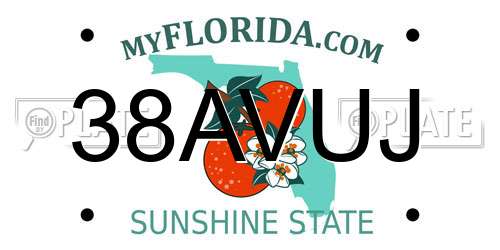 38AVUJ Florida License Plate