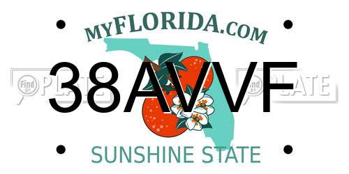 38AVVF Florida License Plate