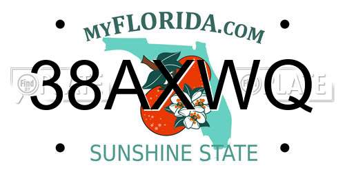38AXWQ Florida License Plate