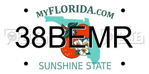 38BEMR Florida License Plate