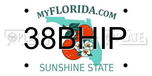 38BHIP Florida License Plate