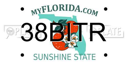 38BITR Florida License Plate