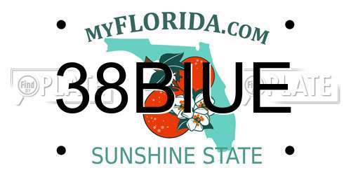 38BIUE Florida License Plate