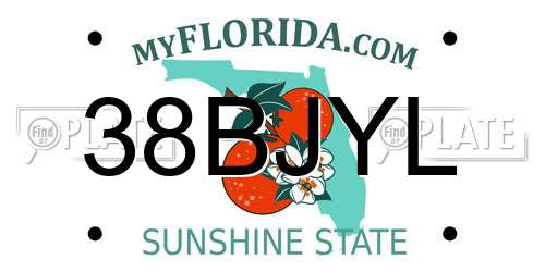 38BJYL Florida License Plate