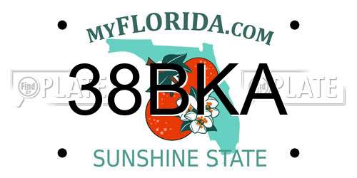 38BKA Florida License Plate