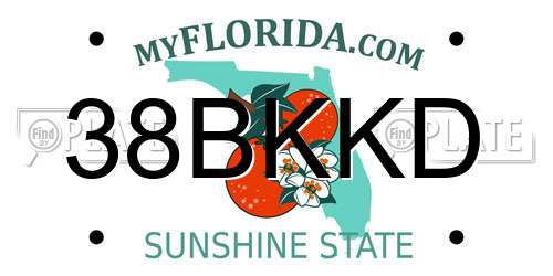 38BKKD Florida License Plate