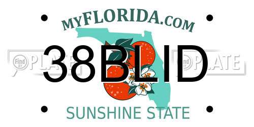 38BLID Florida License Plate