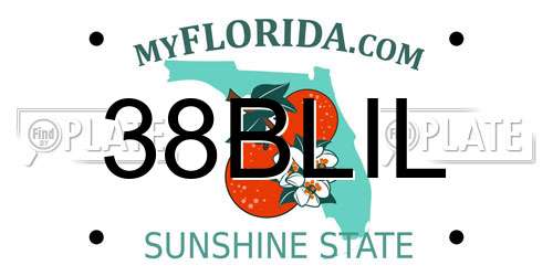 38BLIL Florida License Plate