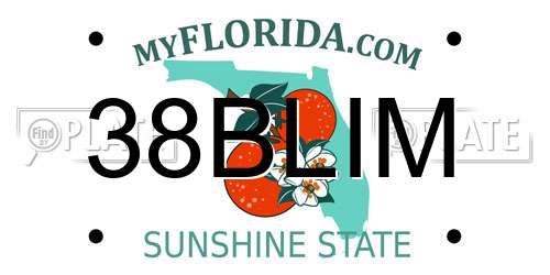 38BLIM Florida License Plate