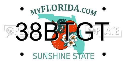 38BTGT Florida License Plate