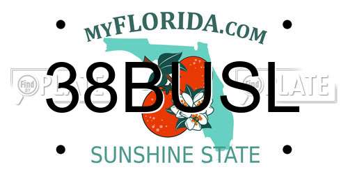 38BUSL Florida License Plate