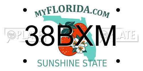 38BXM Florida License Plate