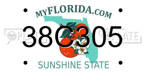 38C305 Florida License Plate